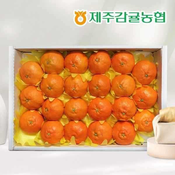 CJ프레시마켓,[선물세트] 제주농협 직송 레드향 3kg(10~15과)