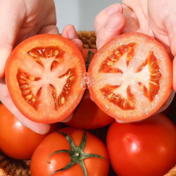 ★타임특가★[엠픽] 자체선별 하우스 완숙 토마토 1.5kg/5kg(로얄과)