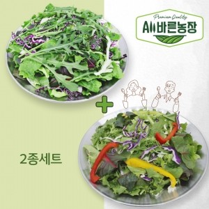 [올바른농장] 패밀리 믹스 샐러드 2종세트 오리지널 1팩(350g) + 루꼴라 1팩(340g) 국내산