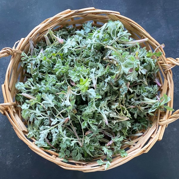 CJ프레시마켓,[제철신선] 자연산 쑥 100g 내외 x 2팩