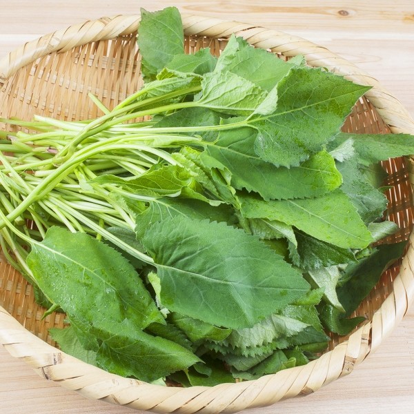 CJ프레시마켓,[제철신선] 국내산 노지 취나물 500g 내외