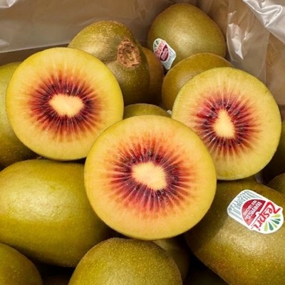 ★타임특가★제스프리 레드루비키위 대과(15입)