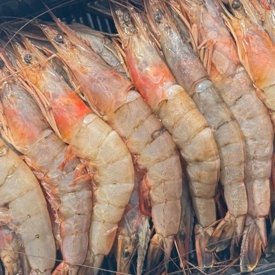 ★타임특가★[엠픽] 100% 자연산 실속형 서해안 급냉 대하 500g/1kg