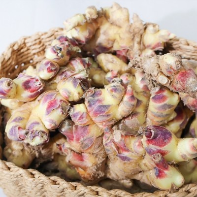 ★타임특가★[엠픽] 품질보장 특품 서산 햇 생강 1kg/2kg