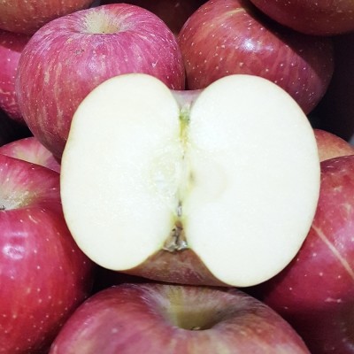 CJ프레시마켓,★타임특가★[엠픽] 유명산지 햇 부사 골라담기(세척사과/정품사과) 2.5kg