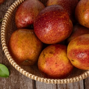 [엠픽] 주스용 못난이 감홍사과 10kg