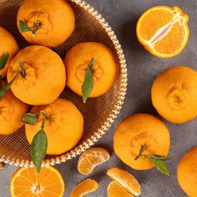 [엠픽] 제주산지직송! 깐깐하게 선별한 제주 가정용 한라봉