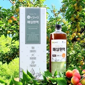 진실매실 매실원액 1000ml x 1병